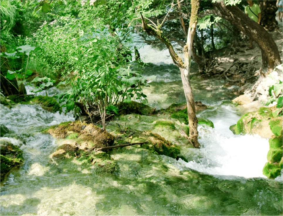 研究から、実装へ。