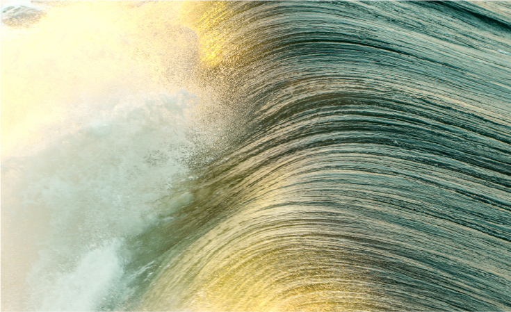 KANSEI Designネットワーク