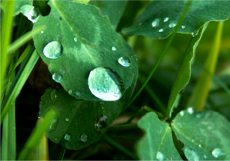 KANSEI Designネットワーク